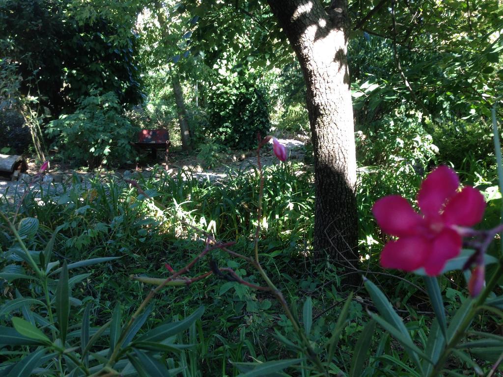 Cascina Folletto Villa Novi Ligure Dış mekan fotoğraf